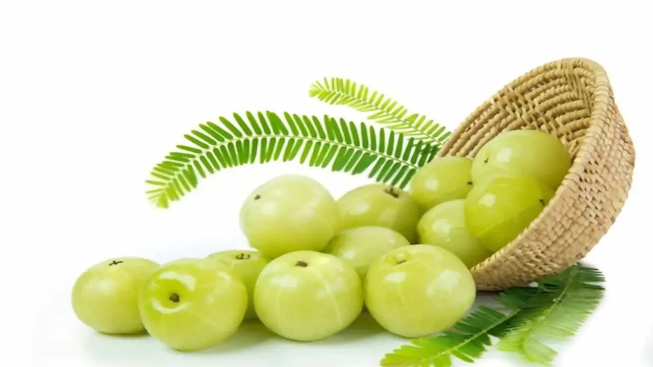 आँवला के फायदे – Amla Benefits for Acidity, Diabetes, Liver, Hair Fall and Immunity in Hindi