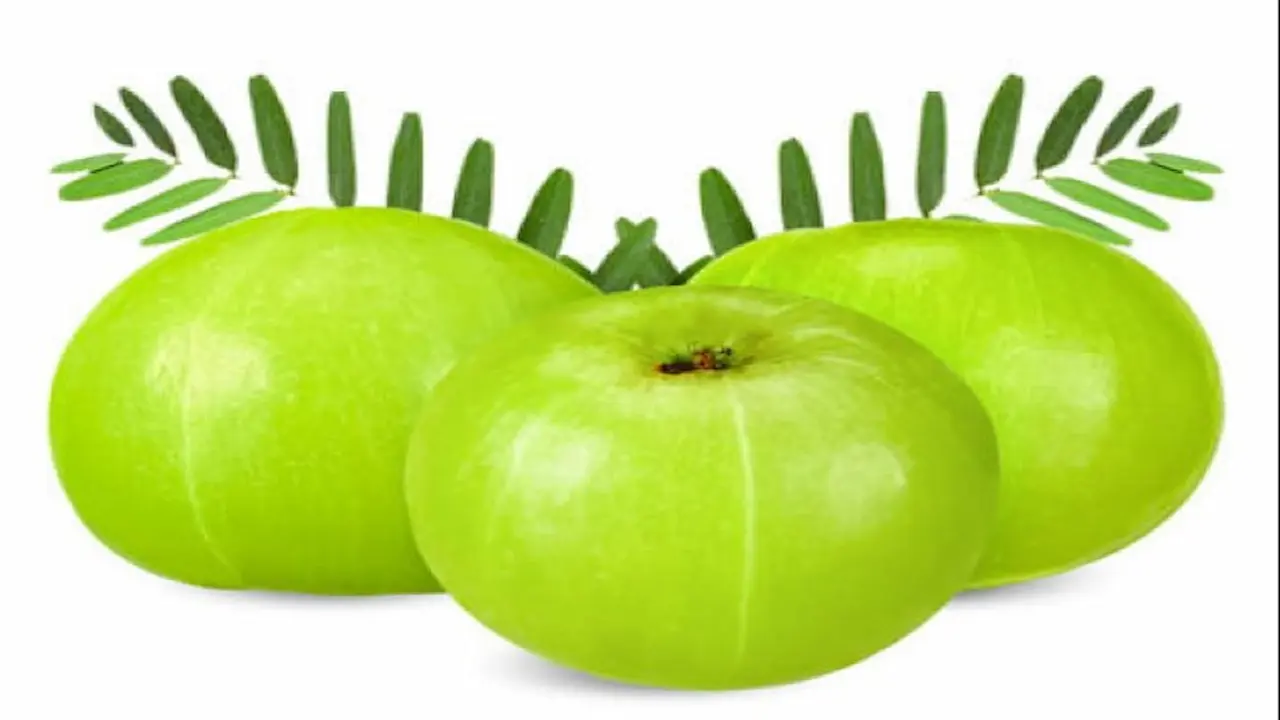 आँवला के आयुर्वेदिक फायदे और पेट रोगों के घरेलू उपचार